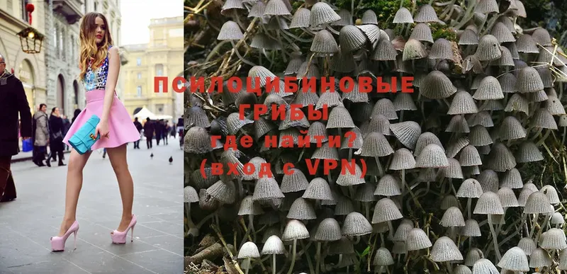 Галлюциногенные грибы Magic Shrooms  Родники 